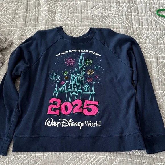 Disney Navy 2025 Castle Graphic Pullover Sweatshirt - Picture 1 of 3